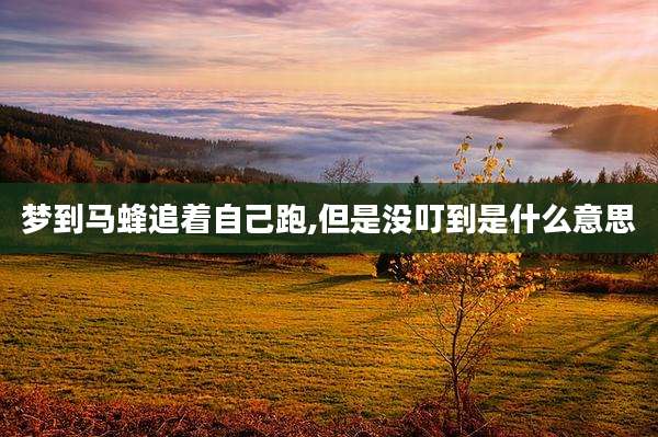 梦到马蜂追着自己跑,但是没叮到是什么意思