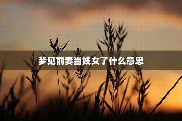 梦见前妻当妓女了什么意思