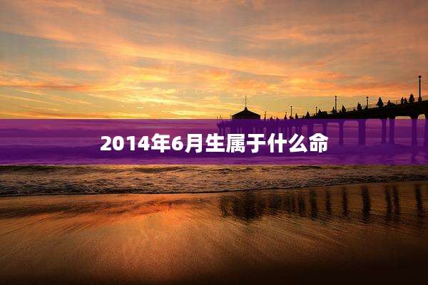 2014年6月生属于什么命