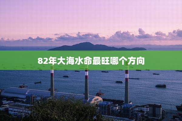 82年大海水命最旺哪个方向