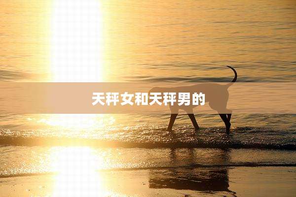 天秤女和天秤男的