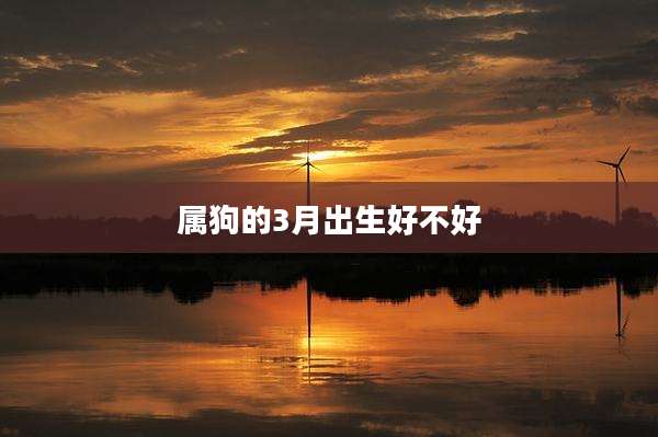 属狗的3月出生好不好