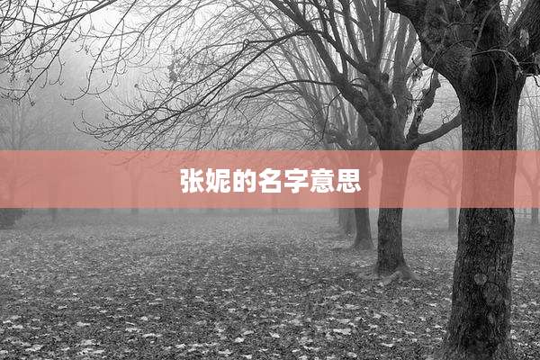 张妮的名字意思