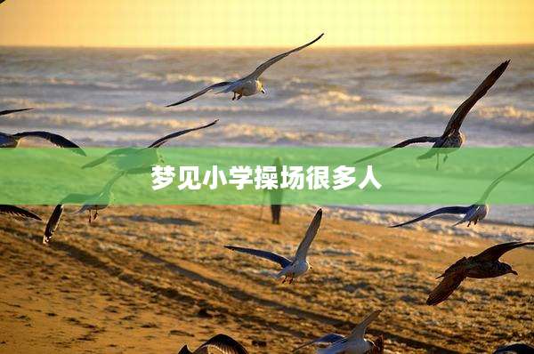 梦见小学操场很多人