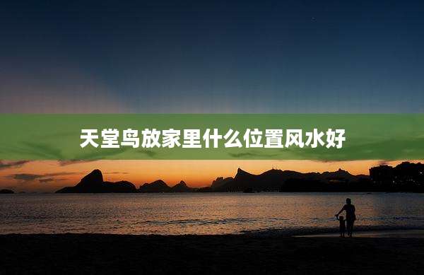 天堂鸟放家里什么位置风水好