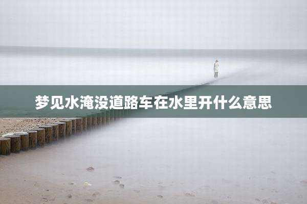 梦见水淹没道路车在水里开什么意思