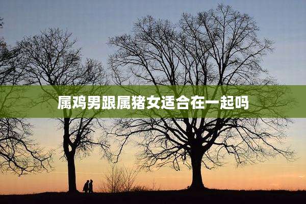 属鸡男跟属猪女适合在一起吗