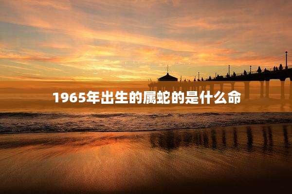 1965年出生的属蛇的是什么命