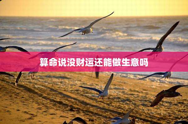 算命说没财运还能做生意吗