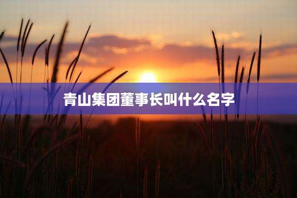 青山集团董事长叫什么名字