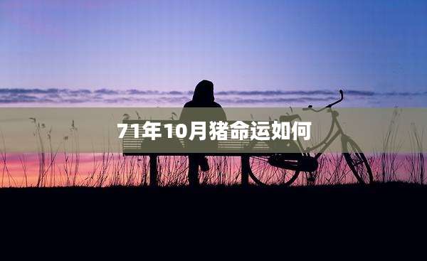 71年10月猪命运如何