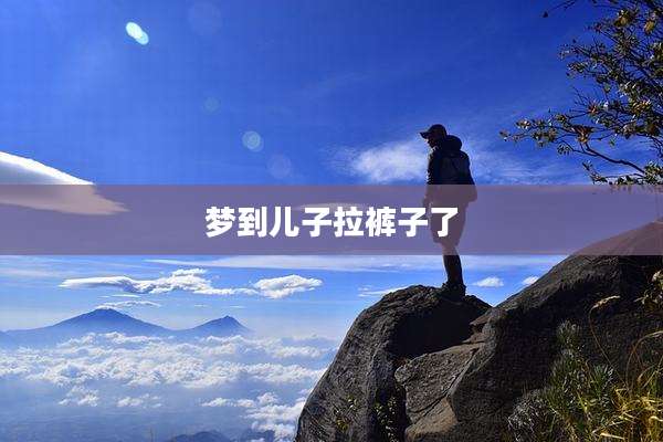 梦到儿子拉裤子了