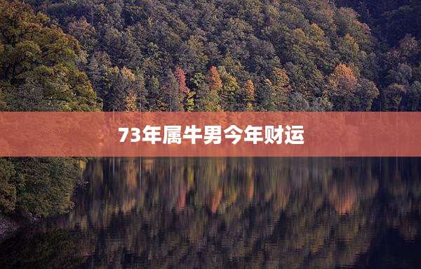 73年属牛男今年财运