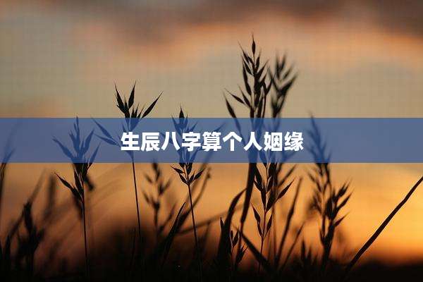生辰八字算个人姻缘