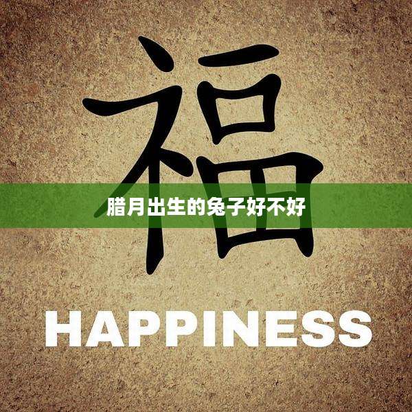 腊月出生的兔子好不好