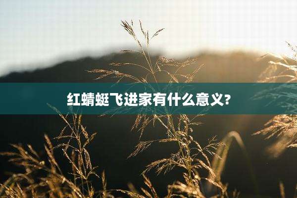 红蜻蜓飞进家有什么意义?