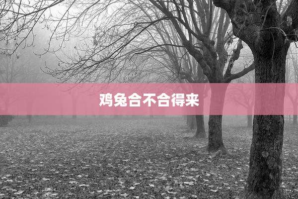 鸡兔合不合得来