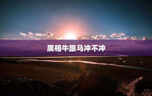 属相牛跟马冲不冲