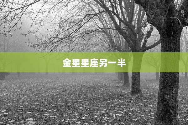 金星星座另一半