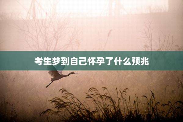 考生梦到自己怀孕了什么预兆