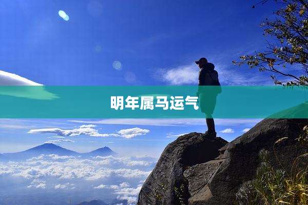 明年属马运气