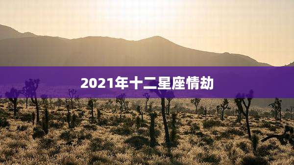 2021年十二星座情劫