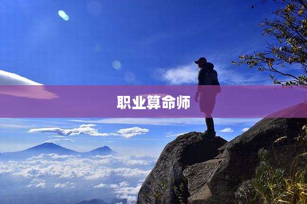 职业算命师