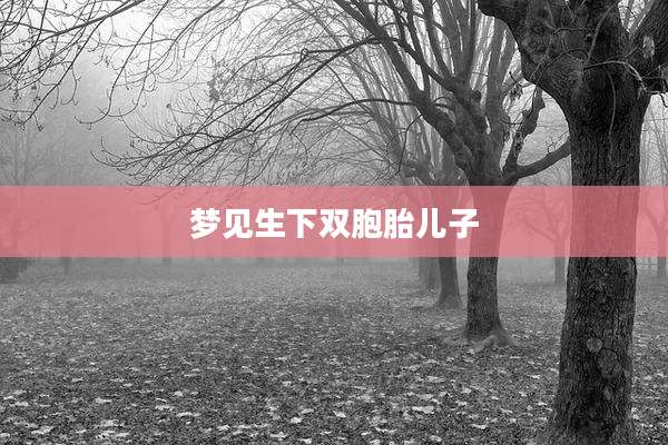 梦见生下双胞胎儿子