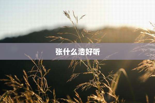 张什么浩好听