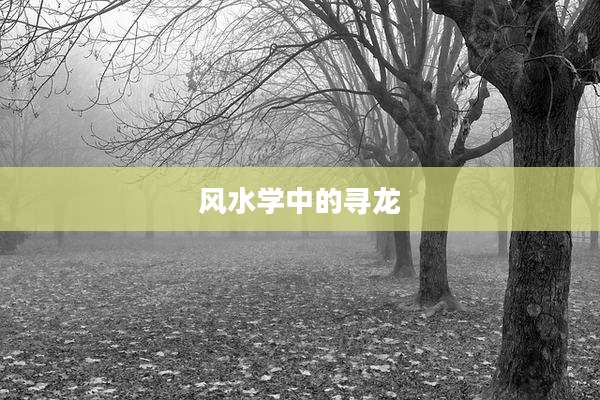 风水学中的寻龙