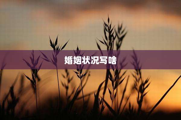 婚姻状况写啥