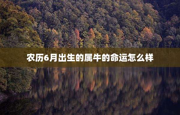 农历6月出生的属牛的命运怎么样