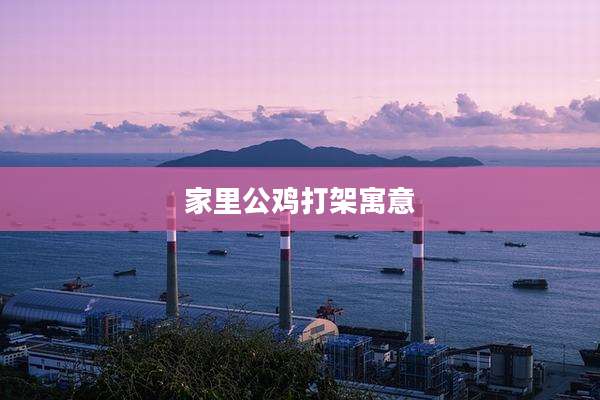 家里公鸡打架寓意