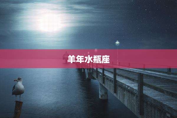 羊年水瓶座