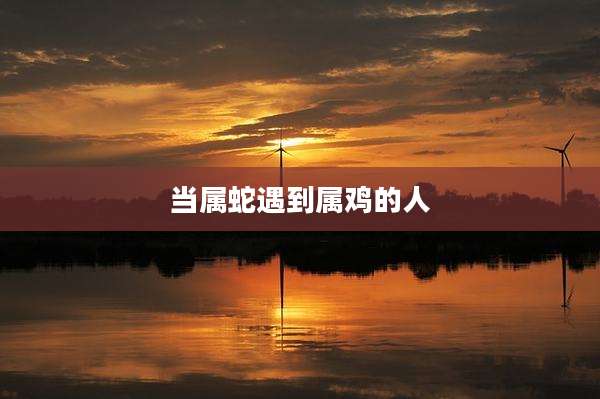 当属蛇遇到属鸡的人