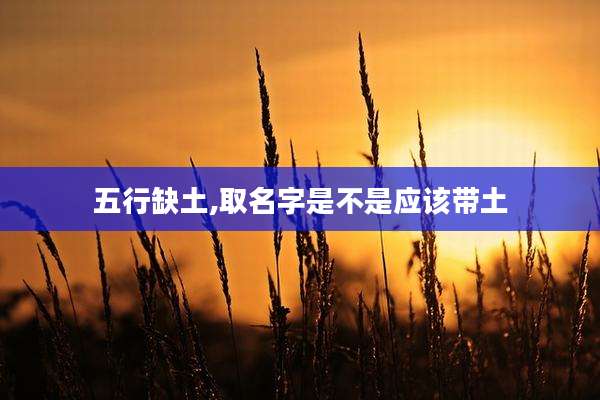 五行缺土,取名字是不是应该带土