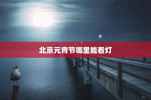 北京元宵节哪里能看灯