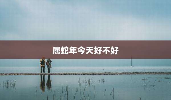 属蛇年今天好不好