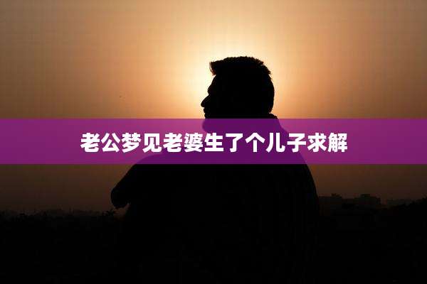 老公梦见老婆生了个儿子求解