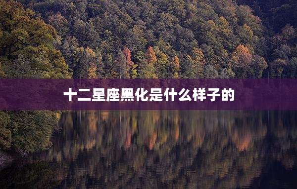 十二星座黑化是什么样子的