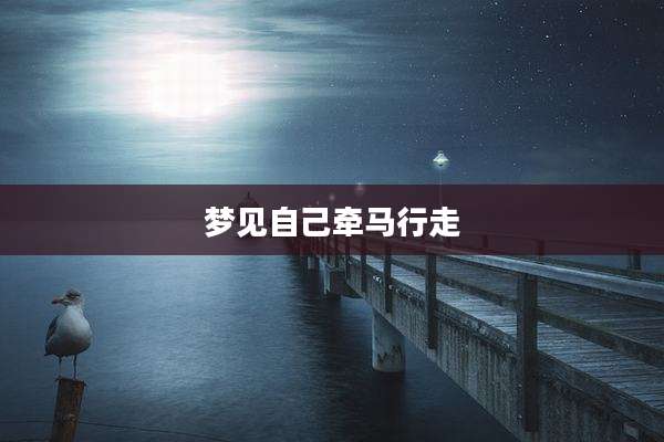 梦见自己牵马行走