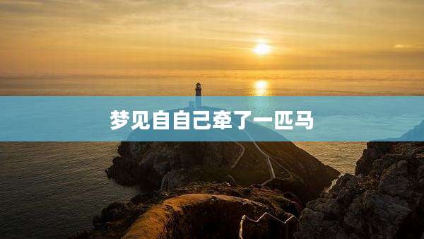 梦见自自己牵了一匹马