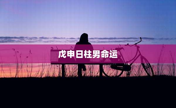 戊申日柱男命运