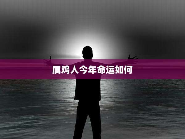 属鸡人今年命运如何