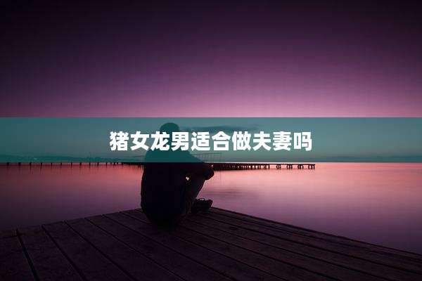 猪女龙男适合做夫妻吗