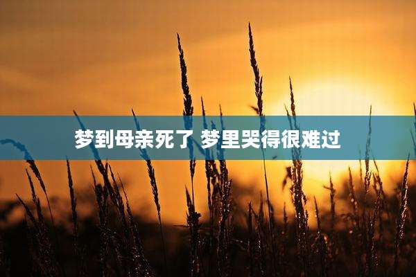 梦到母亲死了 梦里哭得很难过