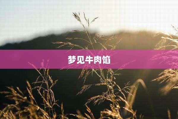 梦见牛肉馅