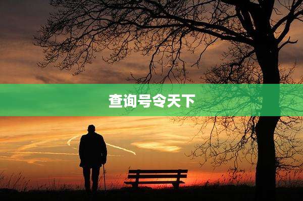 查询号令天下