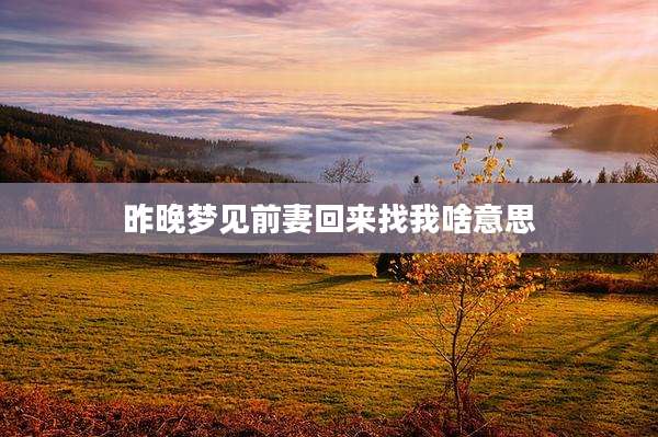 昨晚梦见前妻回来找我啥意思
