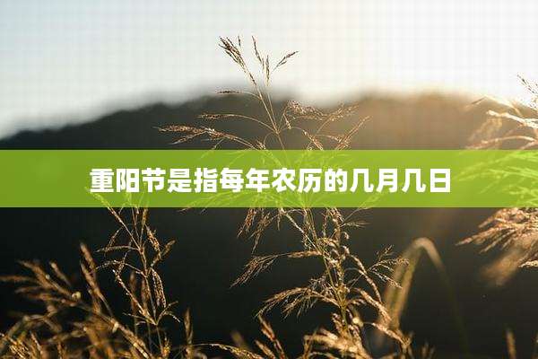 重阳节是指每年农历的几月几日